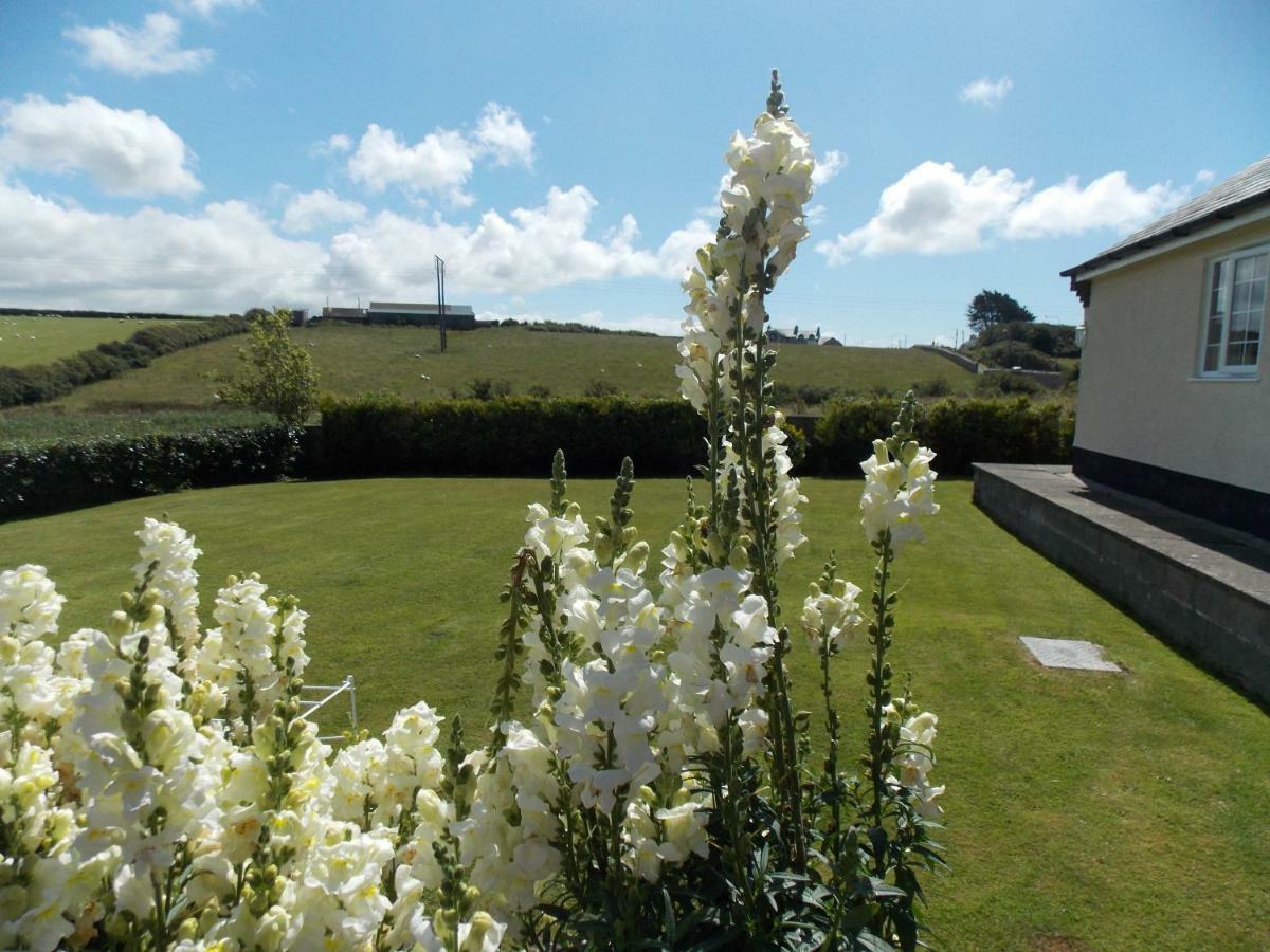 Craig Eithin B & B Caergeiliog Εξωτερικό φωτογραφία